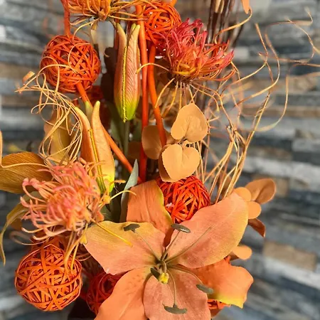 Family Panovi Free 2 Parking Spaces * Plovdiv