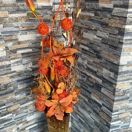 Family Panovi Free 2 Parking Spaces * Plovdiv